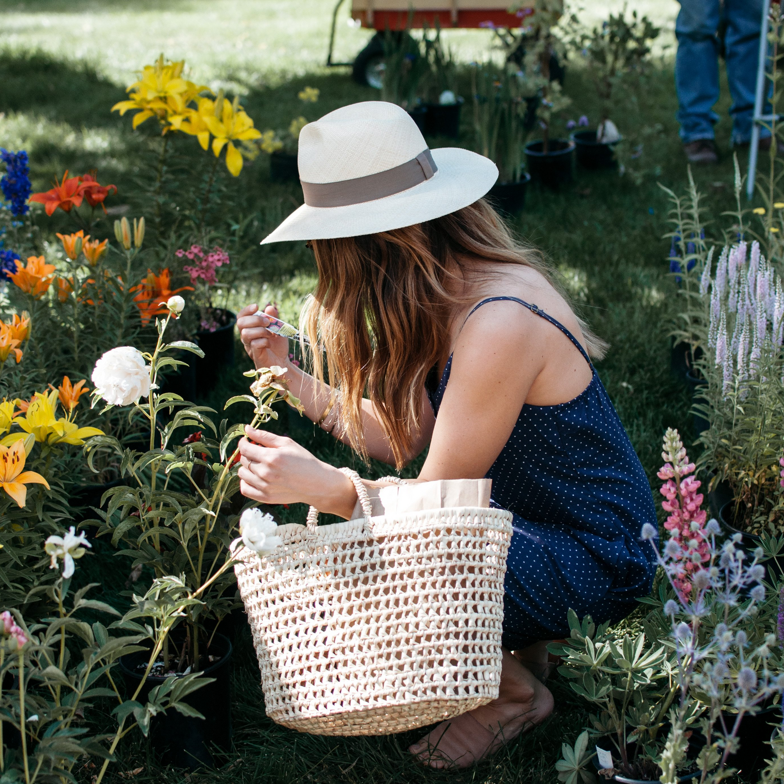 Panama Straw Hat - Natural